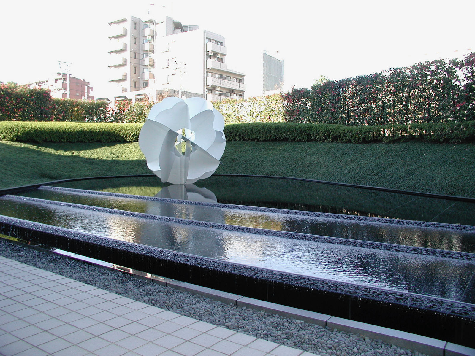 Lotus | Takenobu Igarashi